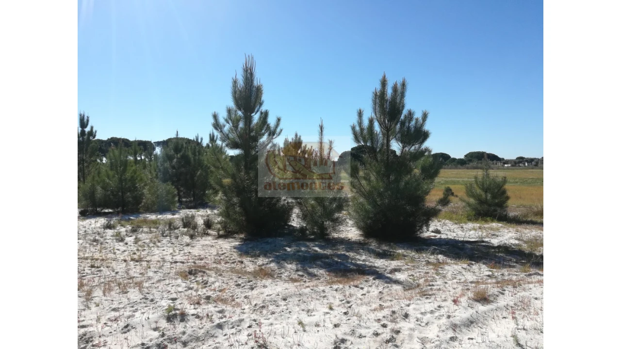 Terreno Misto para Venda em Carvalhal Foto 4