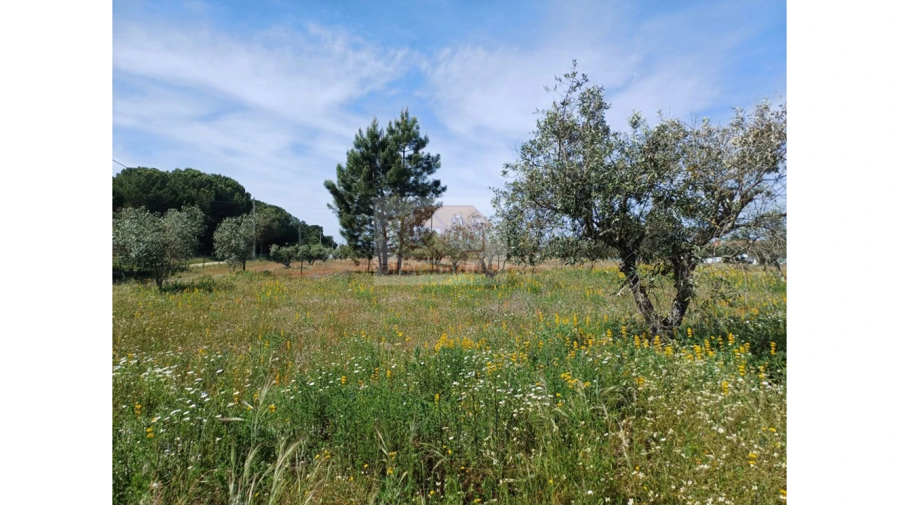 Terreno Misto para Venda em Carvalhal Foto 7