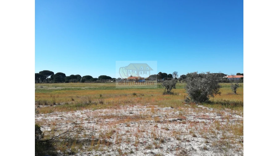 Terreno Misto para Venda em Carvalhal Foto 5