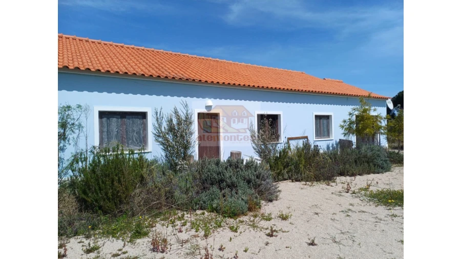 Terreno Misto para Venda em Carvalhal Foto 6