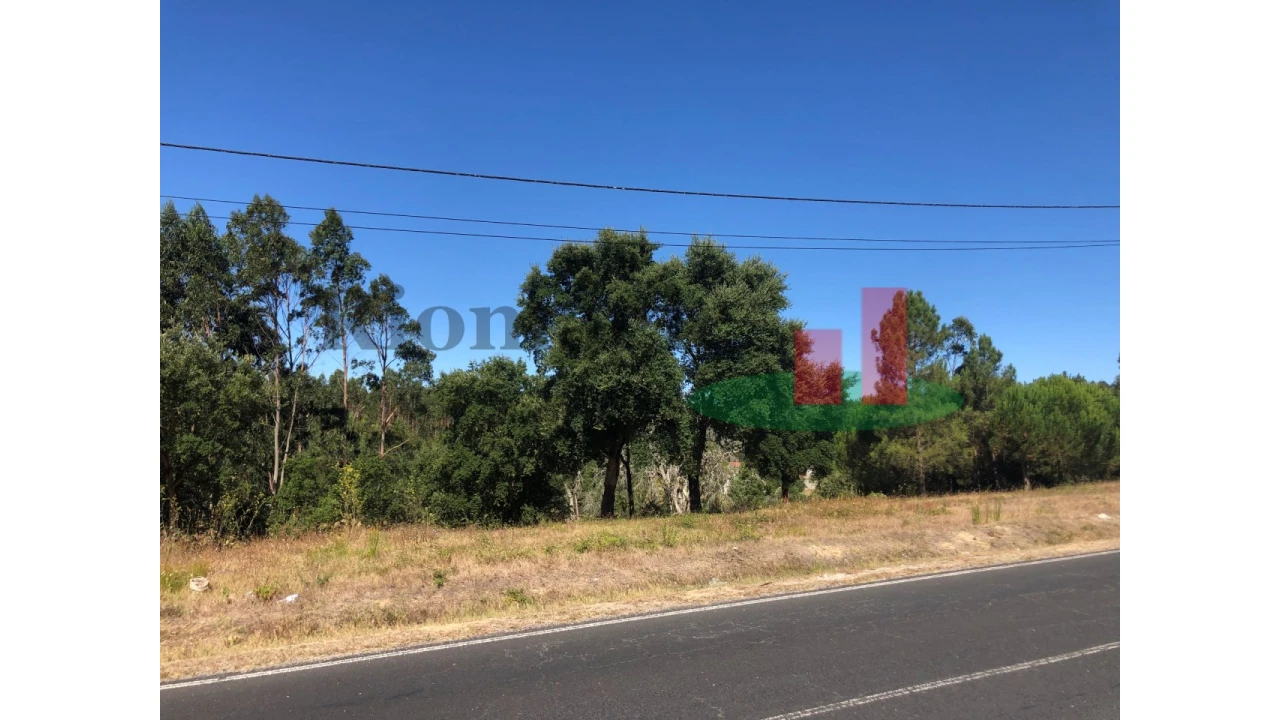 Terreno para Venda em Asseiceira Foto 11