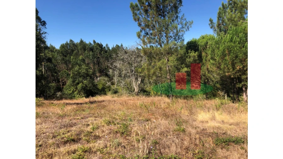 Terreno para Venda em Asseiceira Foto 4