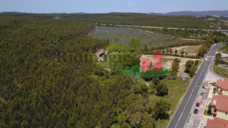Terreno para Venda em Asseiceira