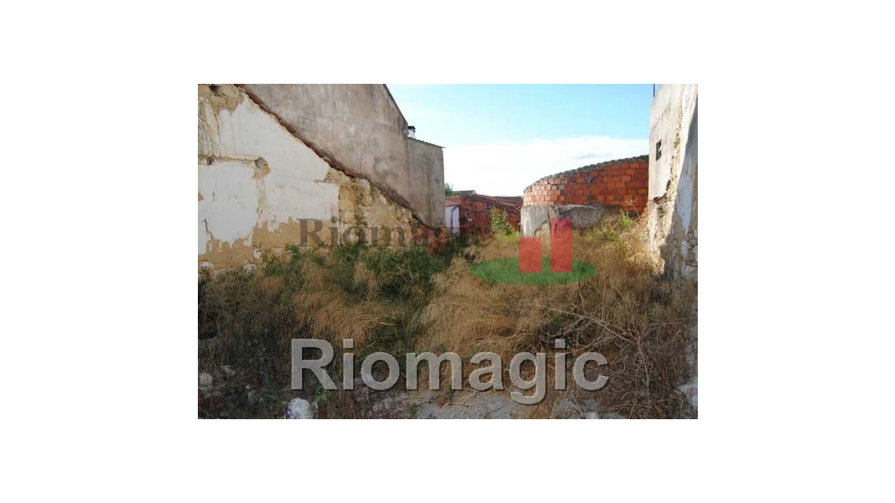 Terreno para Venda em Marmeleira e Assentiz Foto 5