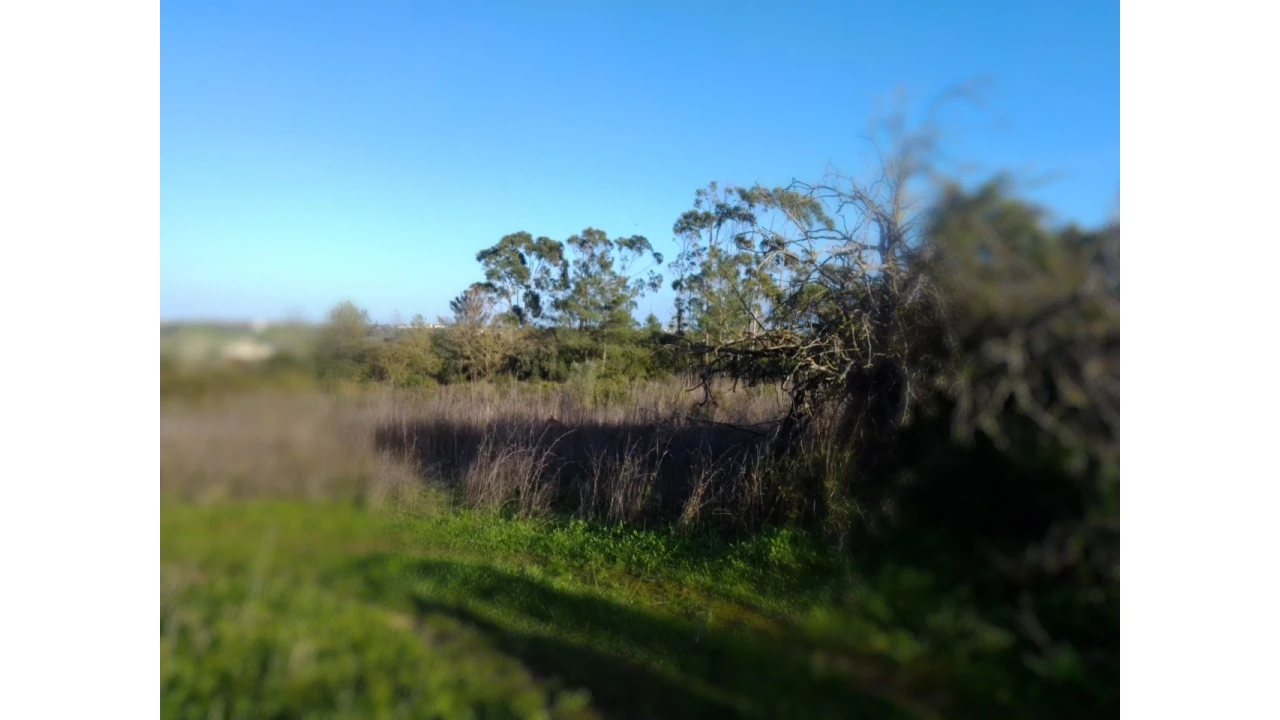 Terreno Agricola ou Rústico para Venda em Abitureiras Foto 1