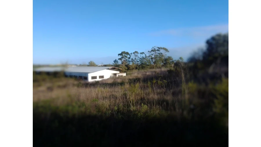 Terreno Agricola ou Rústico para Venda em Abitureiras Foto 3
