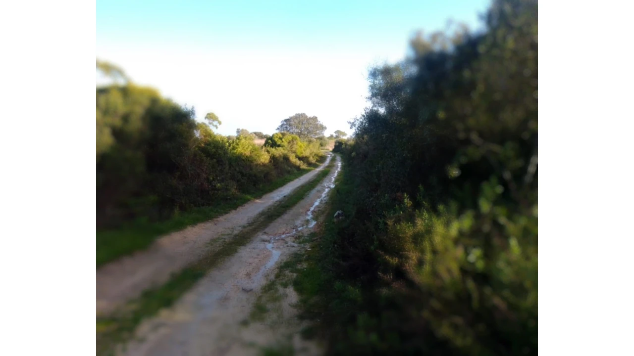 Terreno Agricola ou Rústico para Venda em Abitureiras Foto 1