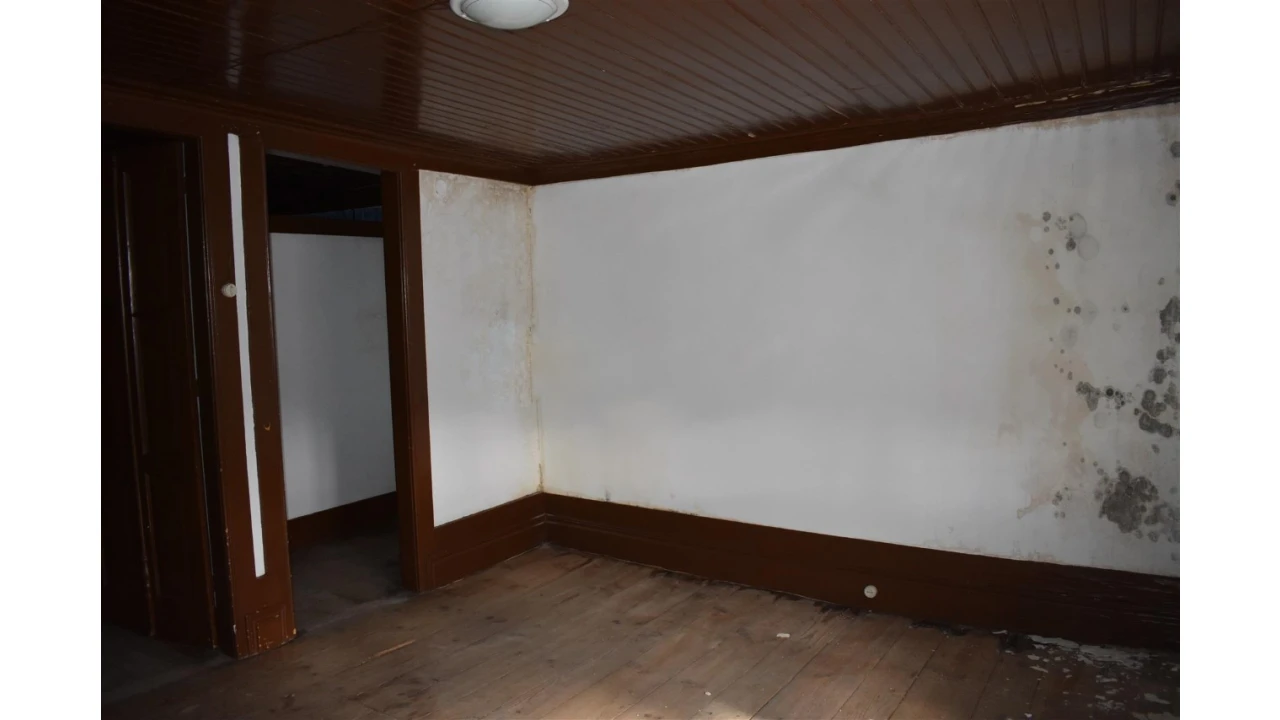 Prédio para Venda em Lamego (Almacave e Sé) Foto 5