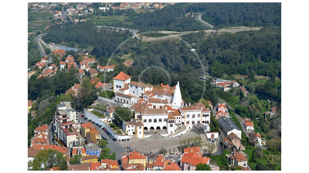 Terreno para Venda em Santa Maria e São Miguel, São Martinho, São Pedro Penaferrim Foto 9