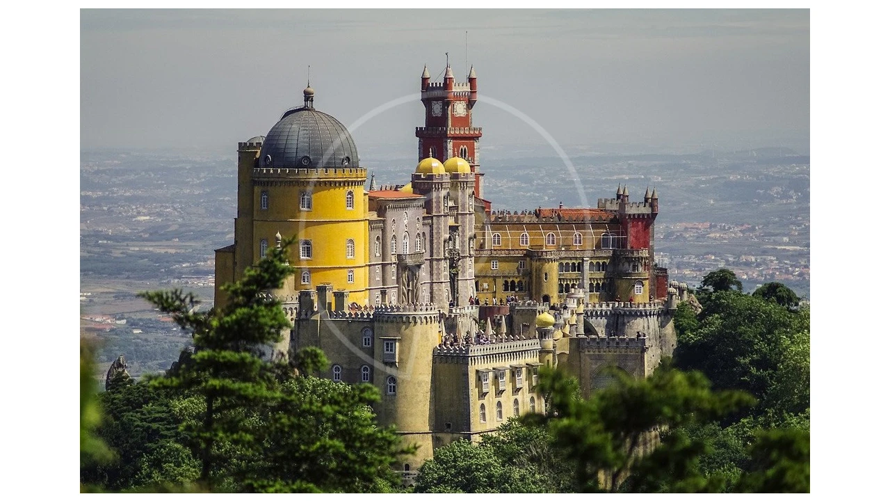 Terreno para Venda em Santa Maria e São Miguel, São Martinho, São Pedro Penaferrim Foto 10