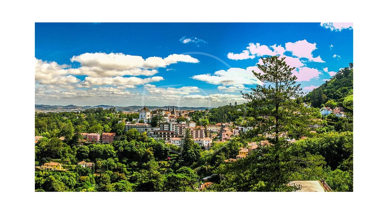 Terreno para Venda em Santa Maria e São Miguel, São Martinho, São Pedro Penaferrim Foto 11