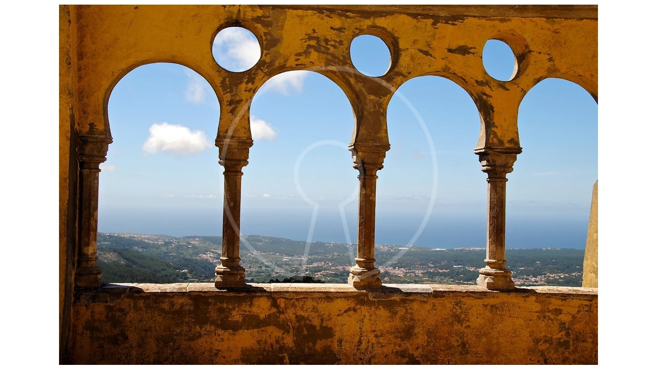 Terreno para Venda em Santa Maria e São Miguel, São Martinho, São Pedro Penaferrim Foto 12