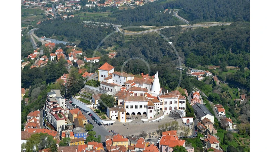 Terreno para Venda em Santa Maria e São Miguel, São Martinho, São Pedro Penaferrim Foto 9