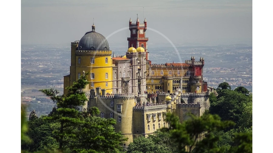 Terreno para Venda em Santa Maria e São Miguel, São Martinho, São Pedro Penaferrim Foto 10