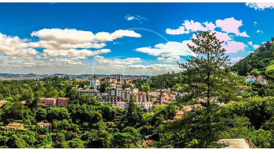 Terreno para Venda em Santa Maria e São Miguel, São Martinho, São Pedro Penaferrim Foto 11