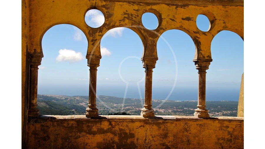Terreno para Venda em Santa Maria e São Miguel, São Martinho, São Pedro Penaferrim Foto 12