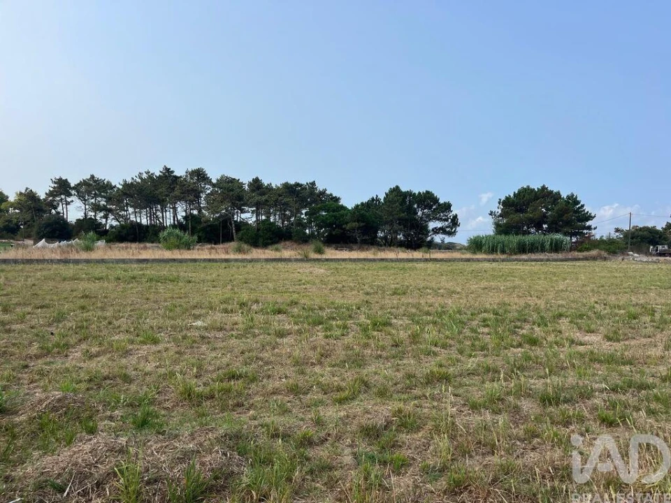 Terreno para Venda em Belinho e Mar Foto 2