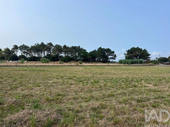 Terreno para Venda em Belinho e Mar Foto 2