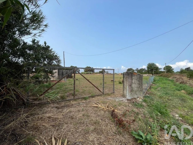 Terreno para Venda em Belinho e Mar Foto 10