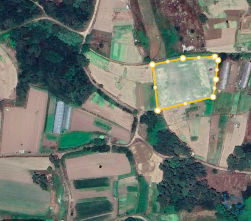 Terreno para Venda em Belinho e Mar Foto 1