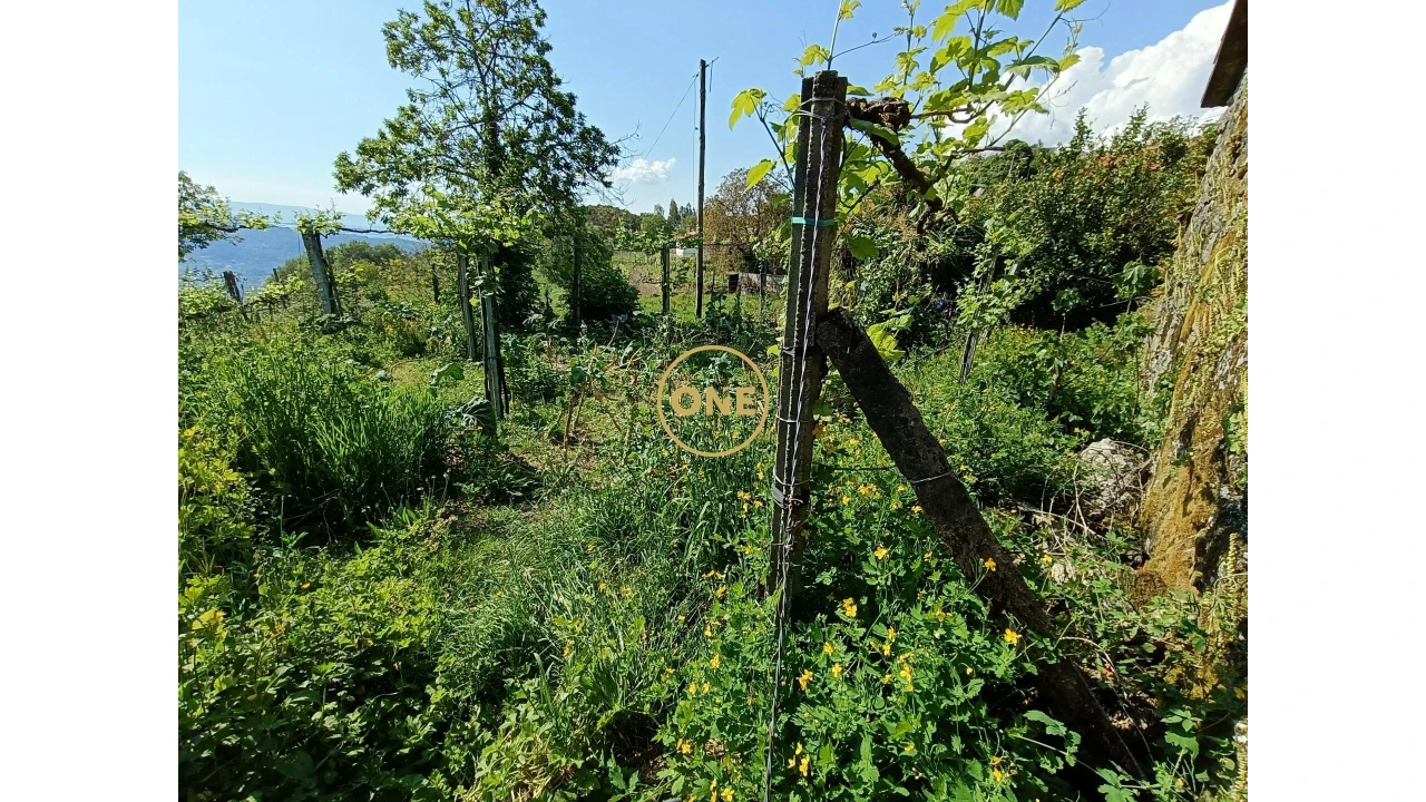 Moradia T2 para Venda em Cuide de Vila Verde Foto 8