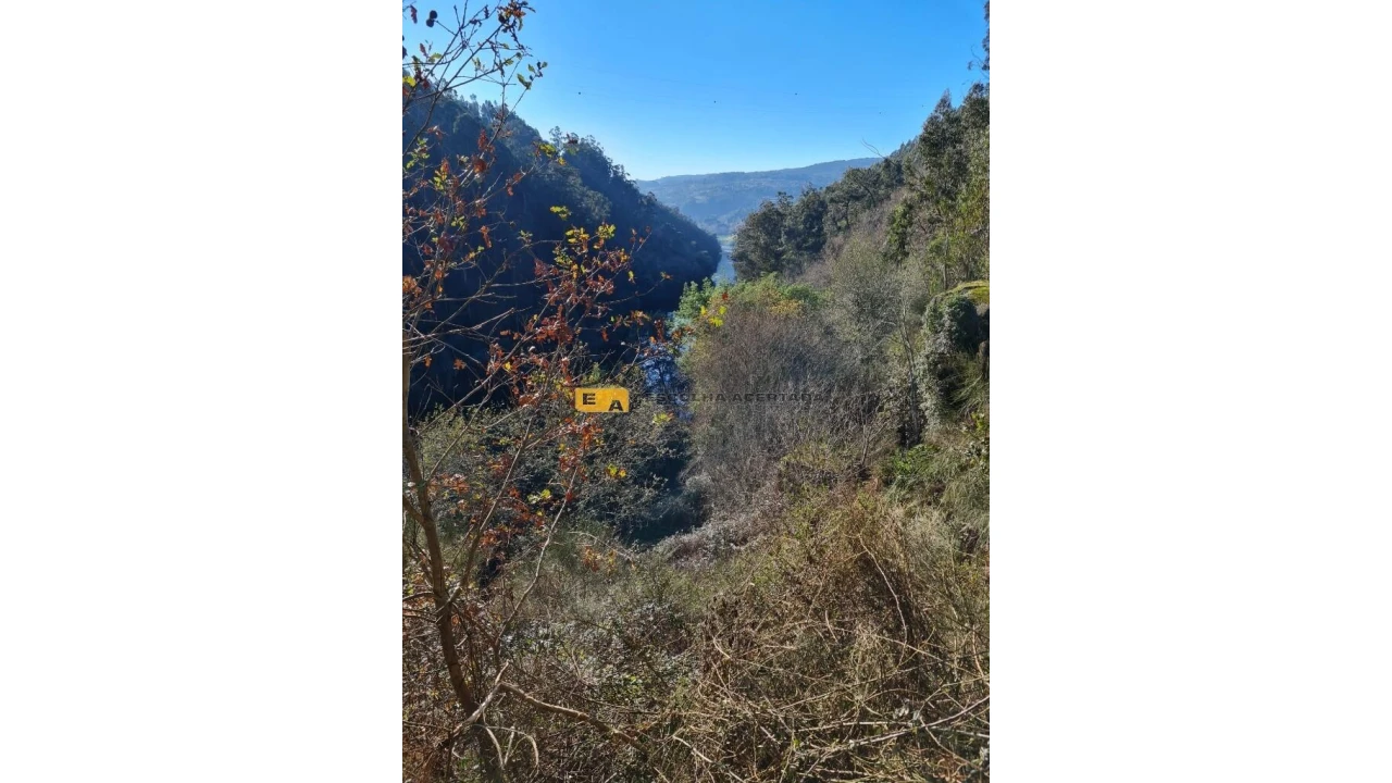 Quinta T2 para Venda em Rio de Moinhos Foto 32