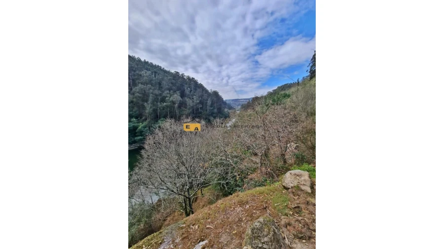 Quinta T2 para Venda em Rio de Moinhos Foto 3