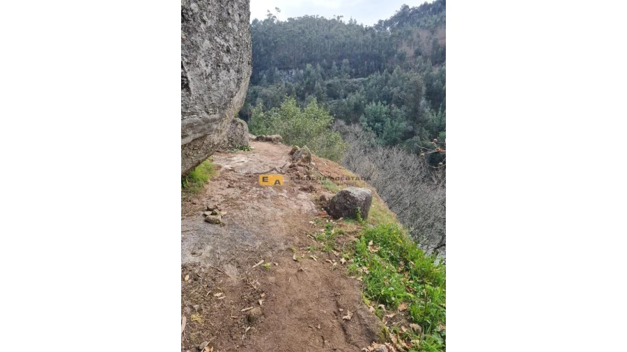 Quinta T2 para Venda em Rio de Moinhos Foto 12