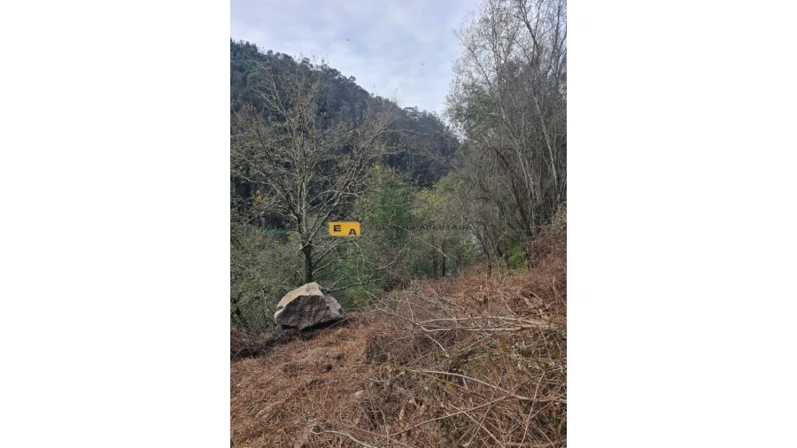 Quinta T2 para Venda em Rio de Moinhos Foto 18