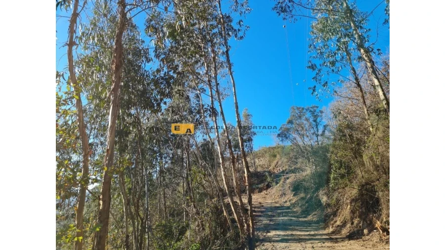 Quinta T2 para Venda em Rio de Moinhos Foto 23