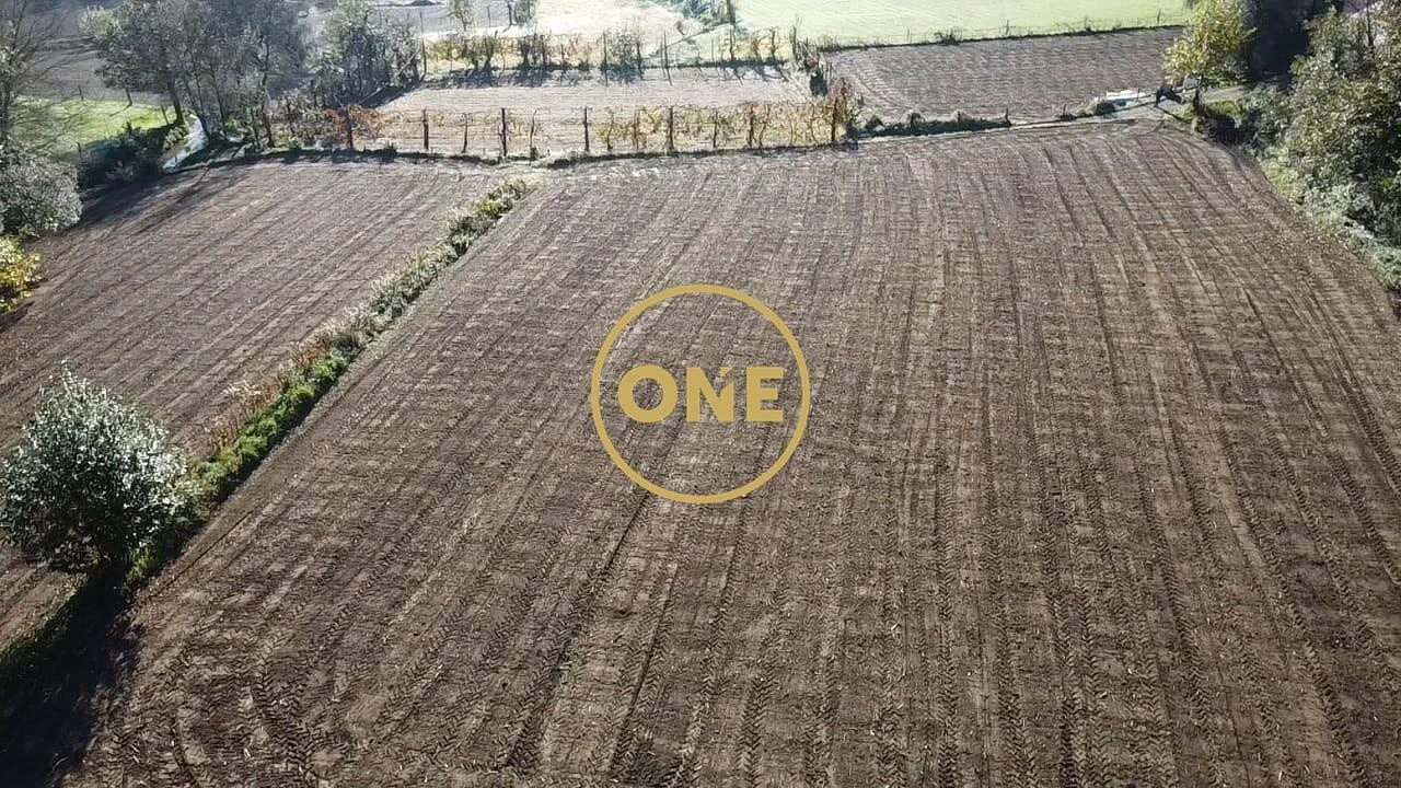 Terreno para Venda em Vade Foto 20