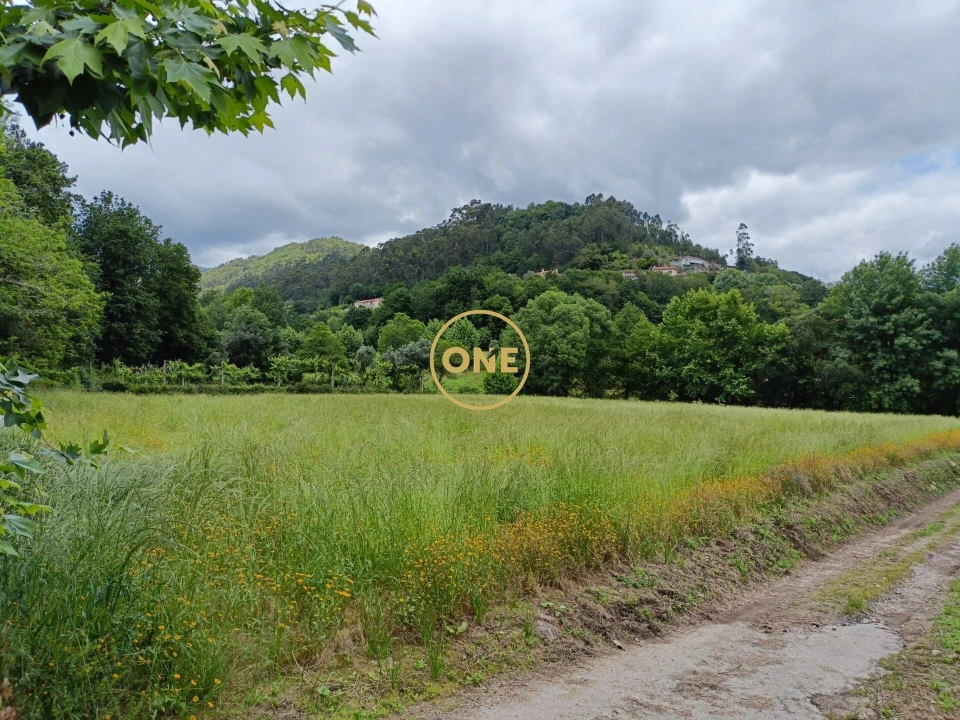 Terreno para Venda em Vade Foto 1