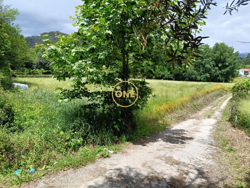 Terreno para Venda em Vade Foto 13