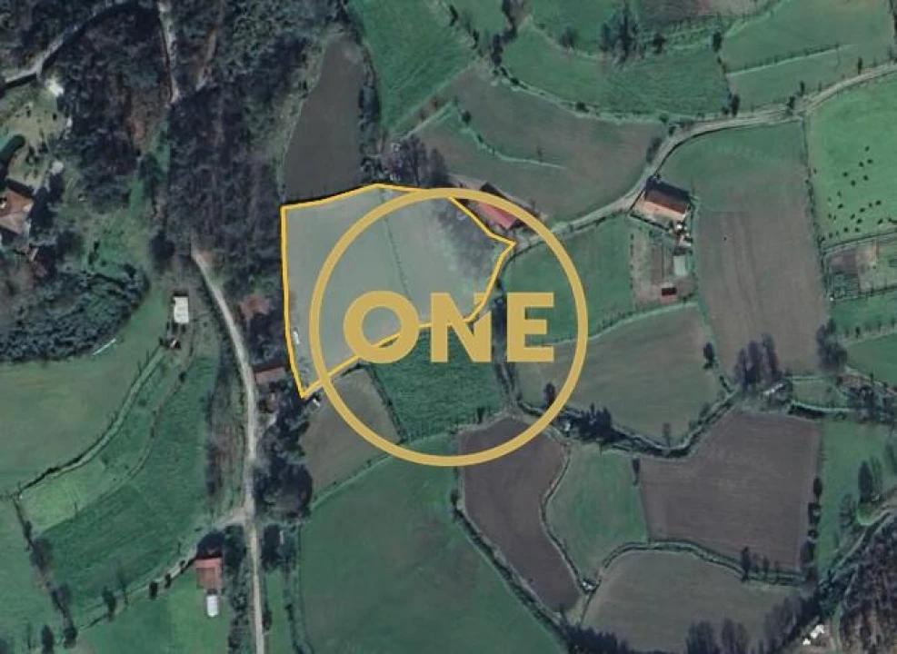 Terreno para Venda em Vade Foto 18