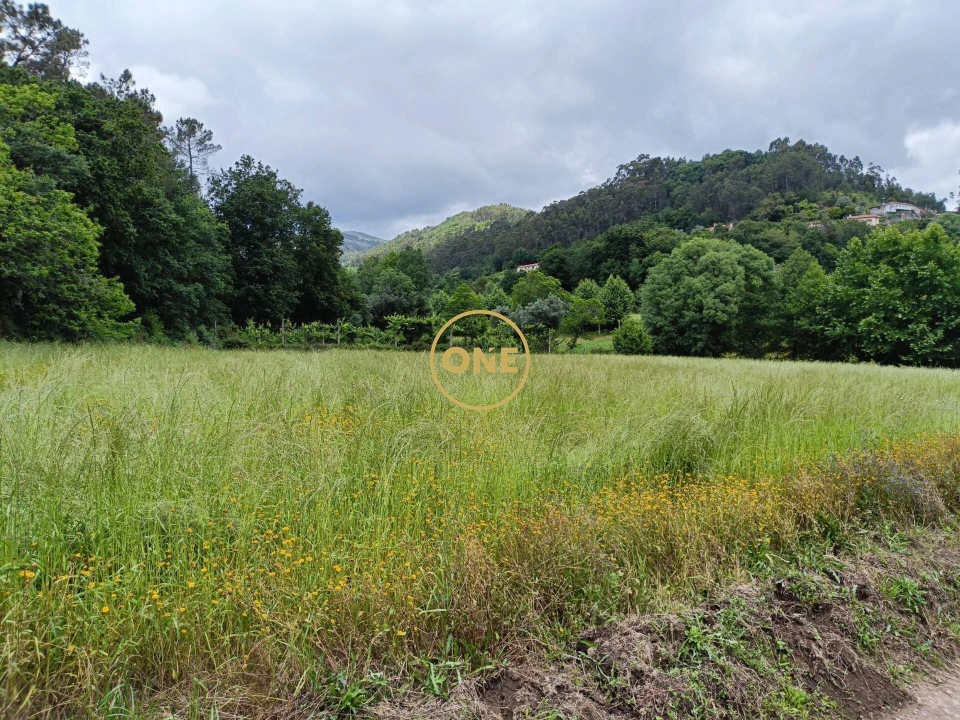 Terreno para Venda em Vade Foto 2