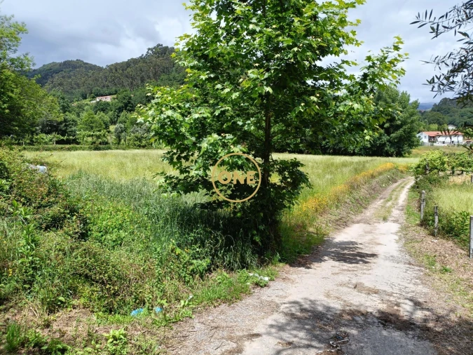 Terreno para Venda em Vade Foto 14