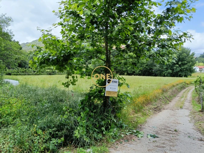 Terreno para Venda em Vade Foto 15
