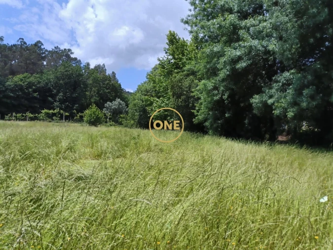 Terreno para Venda em Vade Foto 8