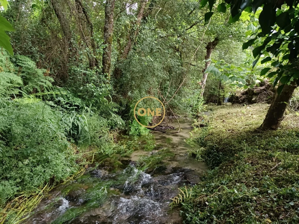 Terreno para Venda em Vade Foto 4