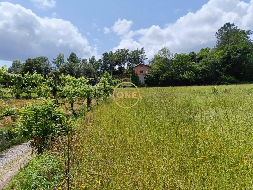 Terreno para Venda em Vade Foto 11