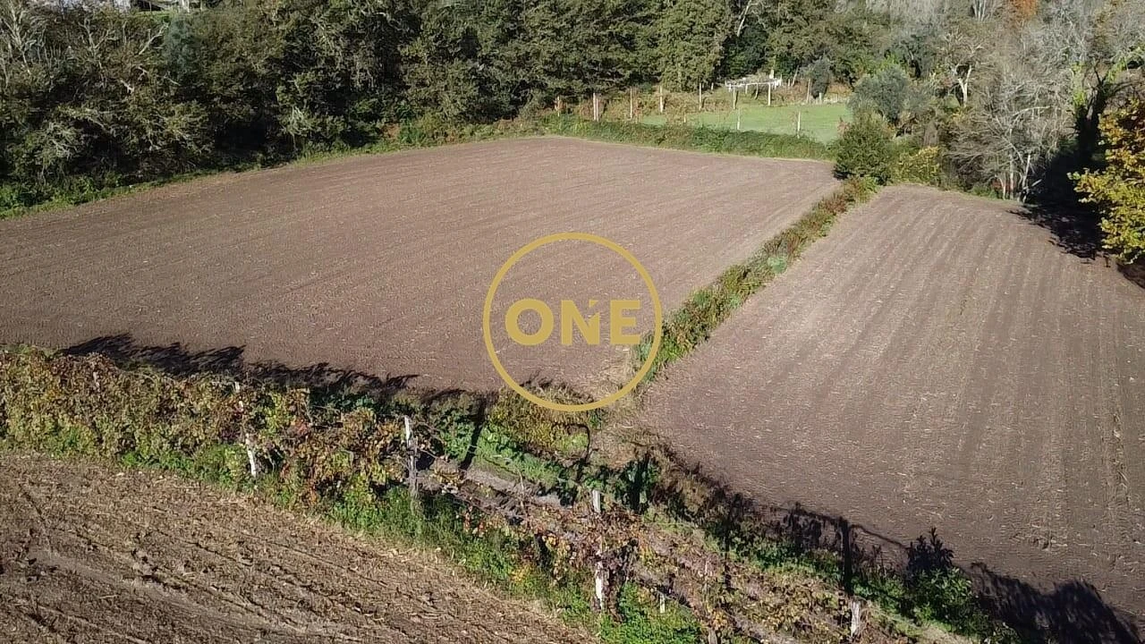 Terreno para Venda em Vade Foto 19