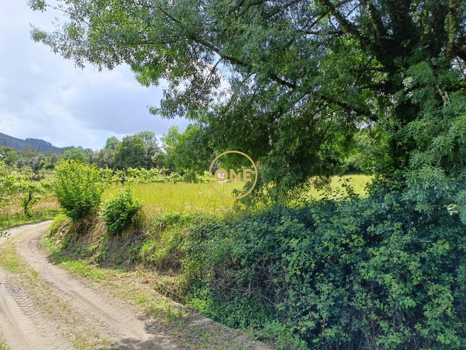 Terreno para Venda em Vade Foto 7