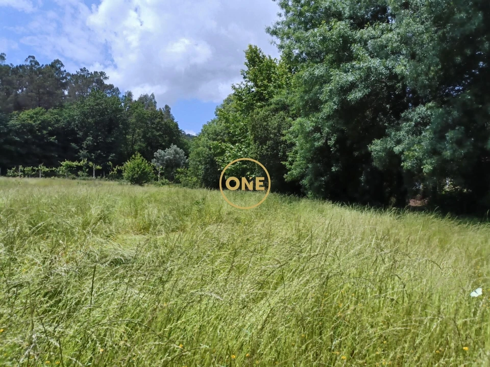 Terreno para Venda em Vade Foto 8