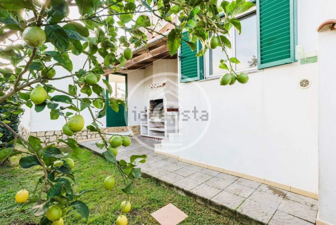 Moradia T3 para Venda em Alpiarça Foto 4