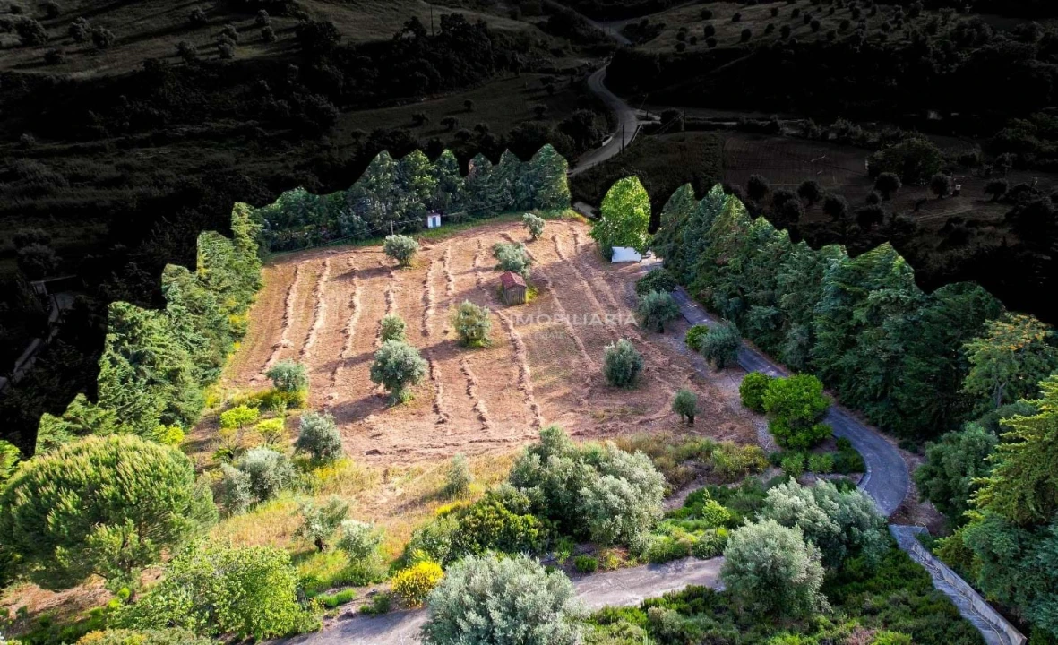 Moradia T5 para Venda em Moçarria Foto 75