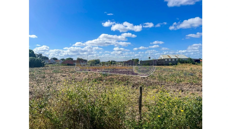 Armazém para Venda em Salvaterra de Magos e Foros de Salvaterra Foto 10