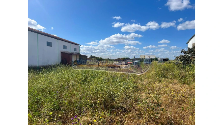 Armazém para Venda em Salvaterra de Magos e Foros de Salvaterra Foto 9