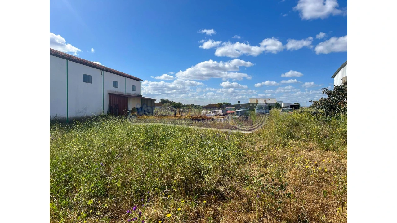 Armazém para Venda em Salvaterra de Magos e Foros de Salvaterra Foto 9