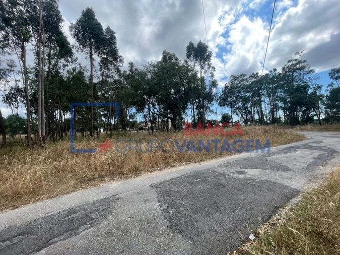 Terreno P/ Prédio para Venda em Azeitão (São Lourenço e São Simão) Foto 8