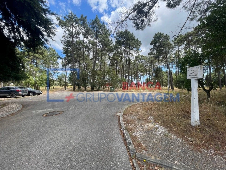 Terreno P/ Prédio para Venda em Azeitão (São Lourenço e São Simão) Foto 2